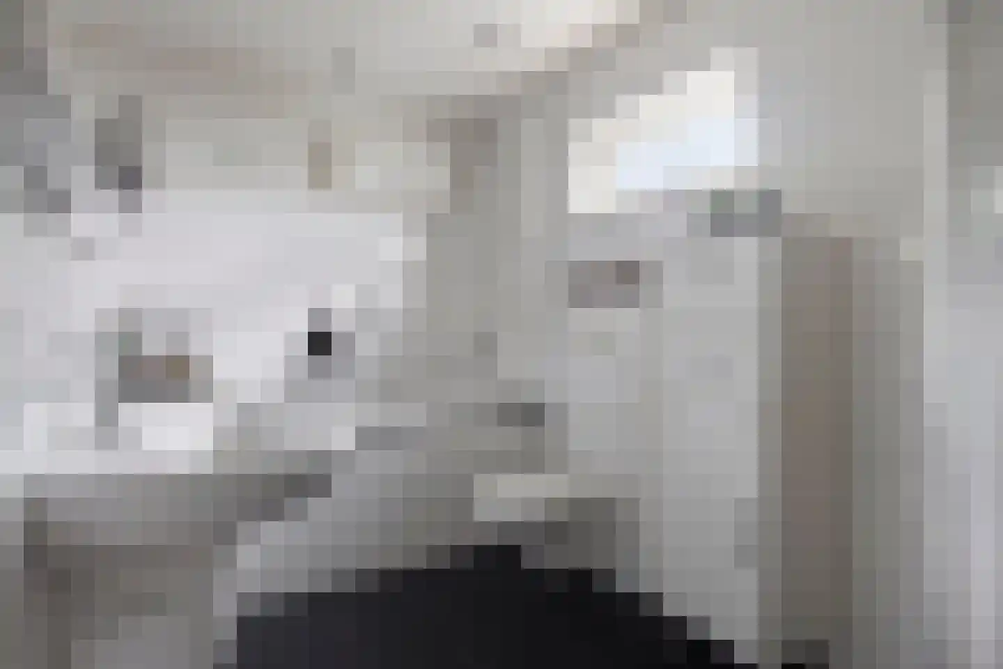 ds. Raamshof 2 Hoek thumbnail 26