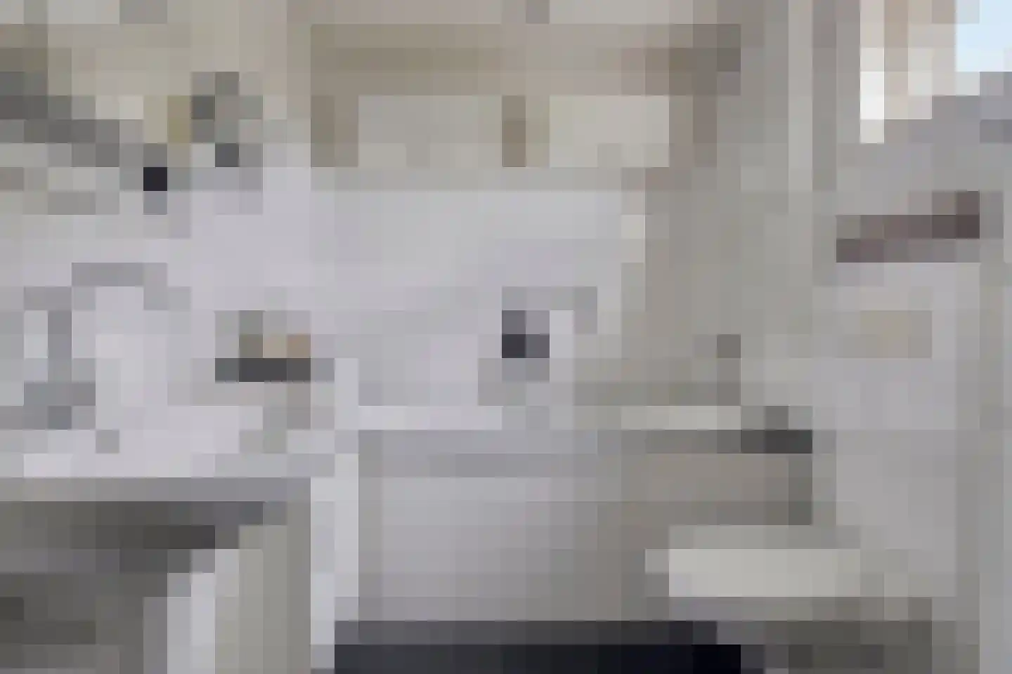 ds. Raamshof 2 Hoek thumbnail 27