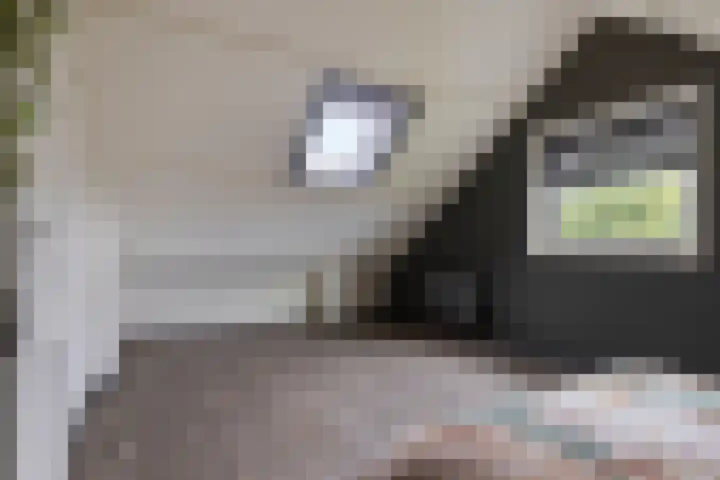 ds. Raamshof 2 Hoek thumbnail 33