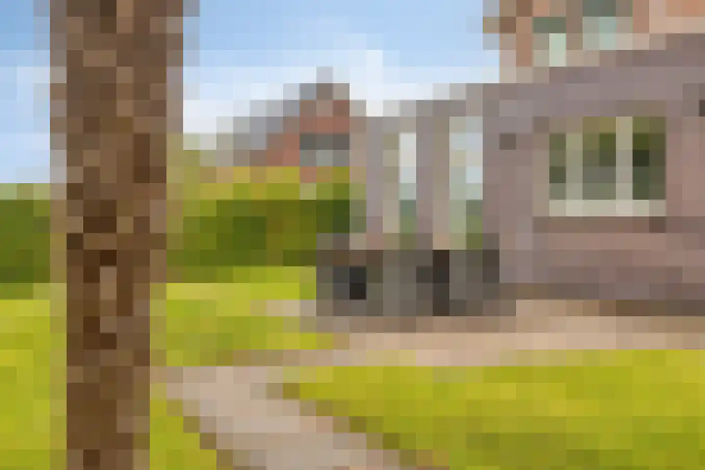 ds. Raamshof 2 Hoek thumbnail 38