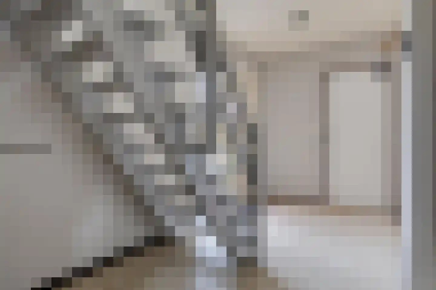 ds. Raamshof 2 Hoek thumbnail 4