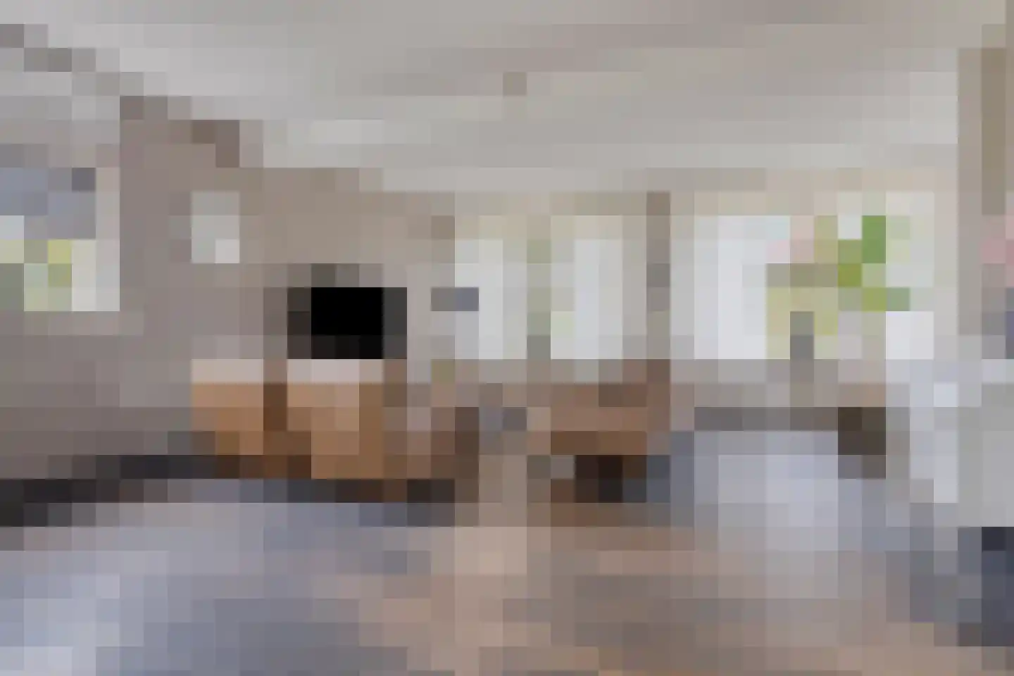 ds. Raamshof 2 Hoek thumbnail 6
