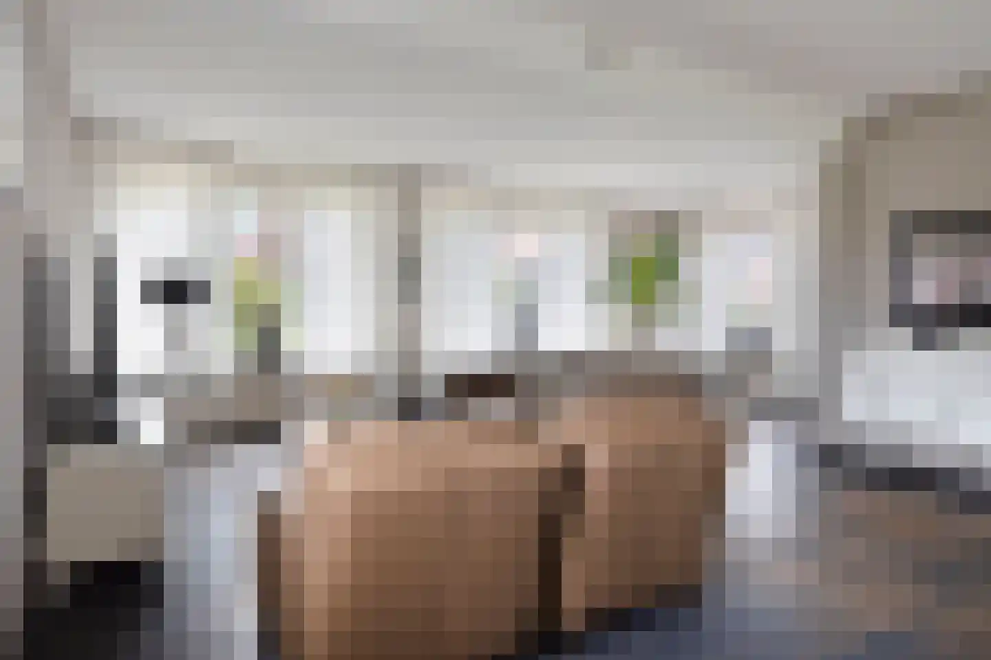 ds. Raamshof 2 Hoek thumbnail 7