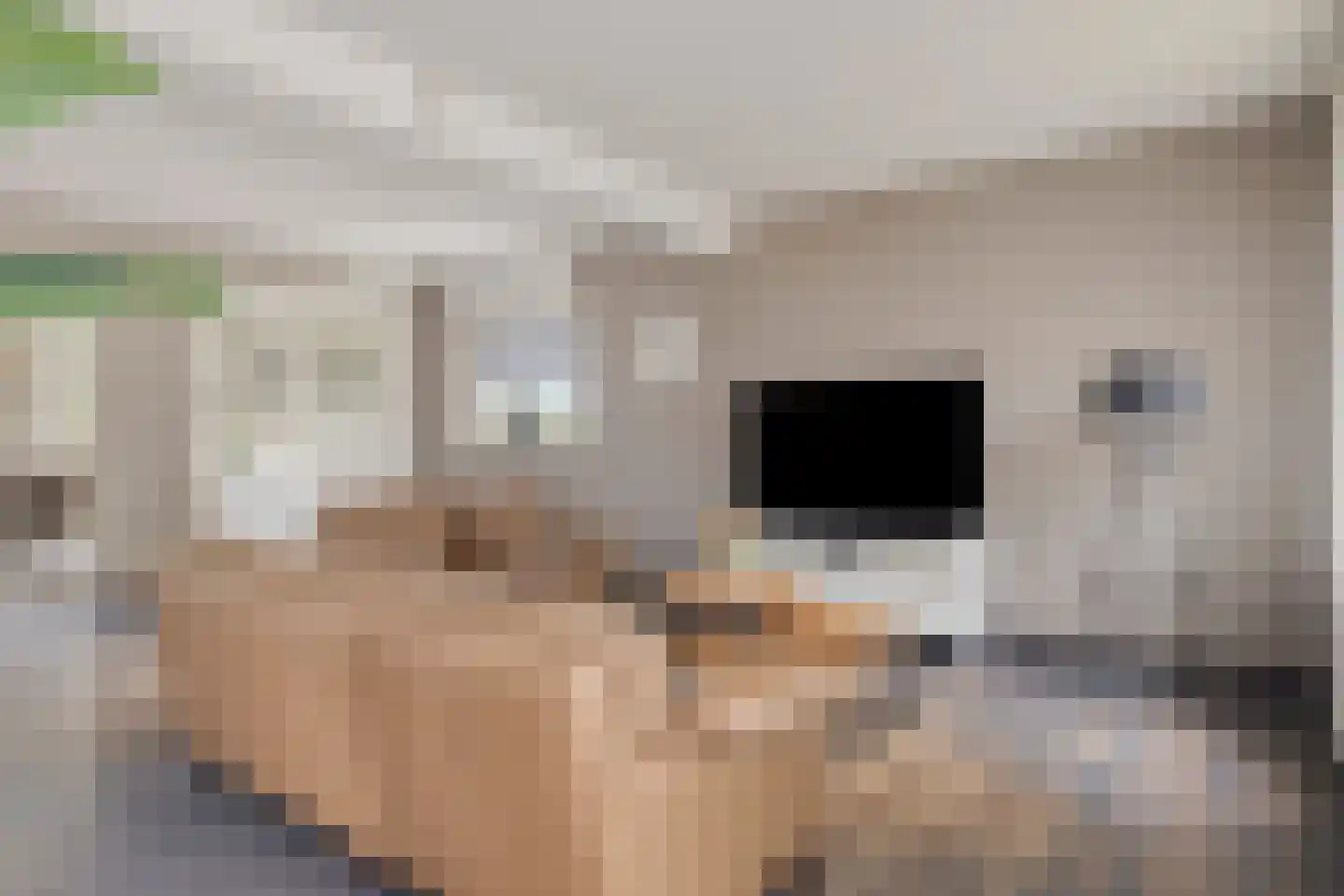 ds. Raamshof 2 Hoek thumbnail 8