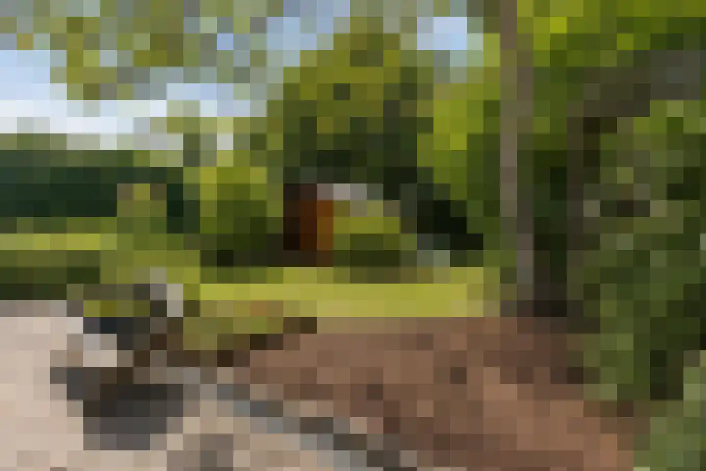 ds. Raamshof 22 Hoek thumbnail 34