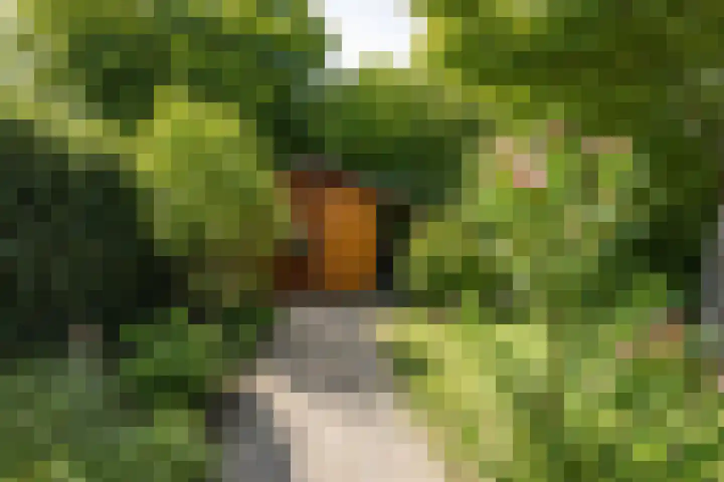 ds. Raamshof 22 Hoek thumbnail 35