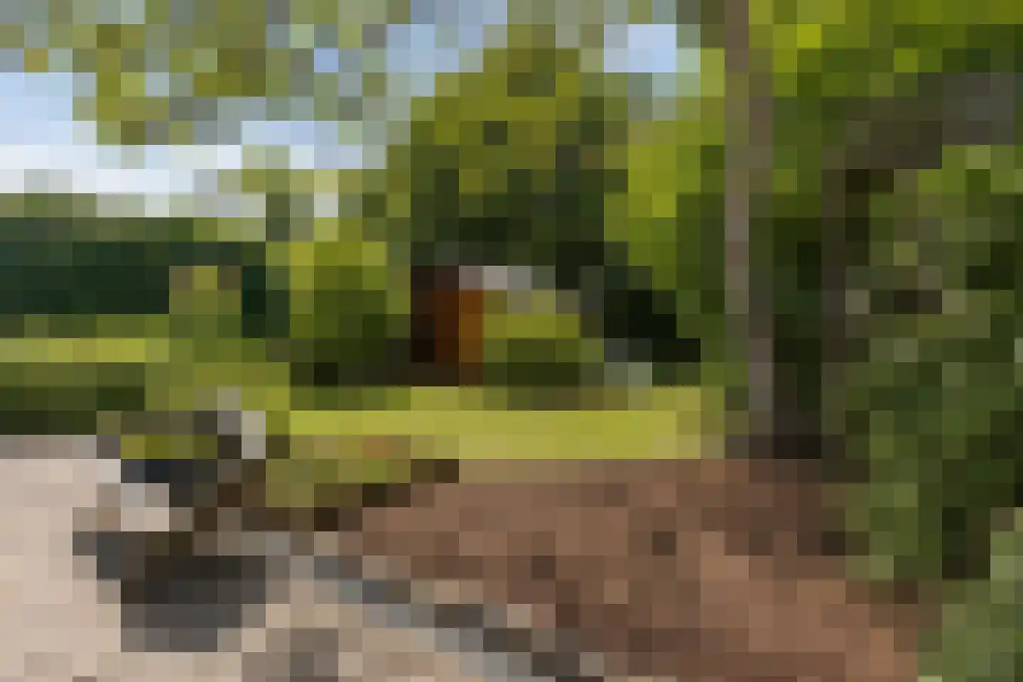 ds. Raamshof 22 Hoek thumbnail 4