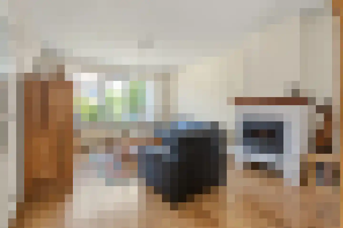 ds. Raamshof 22 Hoek thumbnail 8