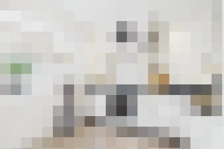 ds. Raamshof 24 Hoek thumbnail 12