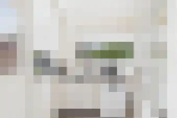 ds. Raamshof 24 Hoek thumbnail 13