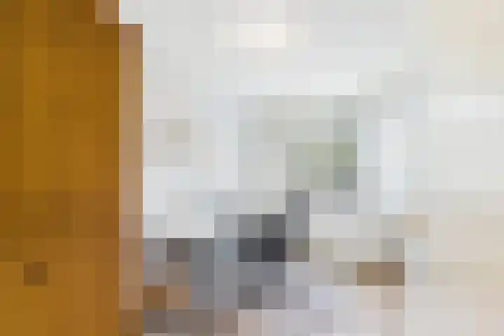 ds. Raamshof 24 Hoek thumbnail 21