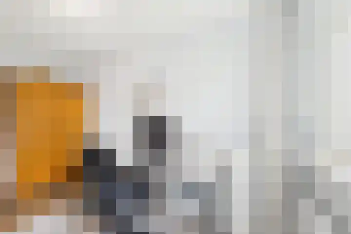 ds. Raamshof 24 Hoek thumbnail 22