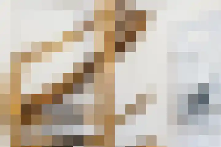 ds. Raamshof 24 Hoek thumbnail 25