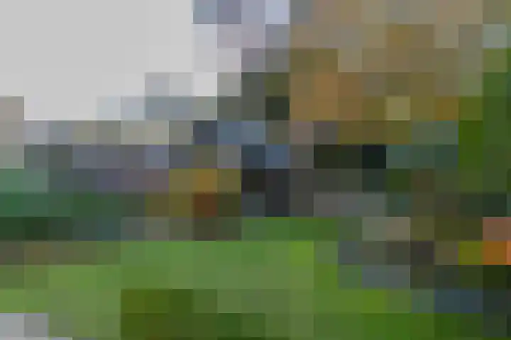 ds. Raamshof 24 Hoek thumbnail 30