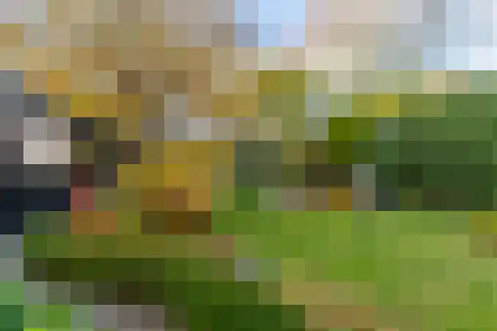 ds. Raamshof 24 Hoek thumbnail 31