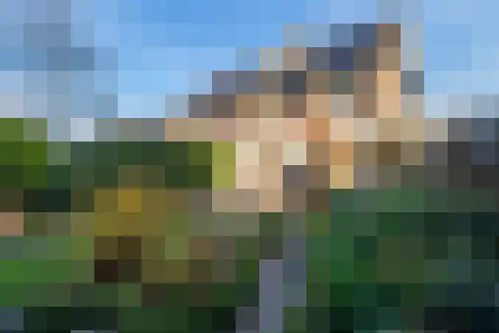 ds. Raamshof 24 Hoek thumbnail 4