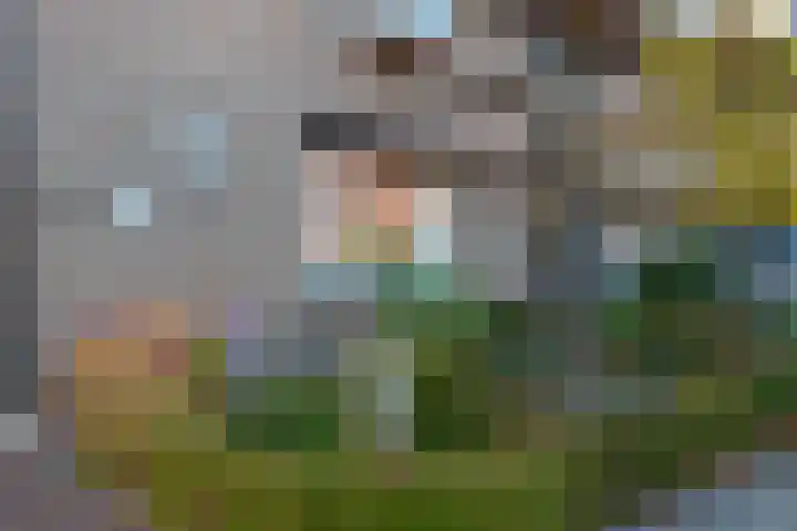 ds. Raamshof 24 Hoek thumbnail 5