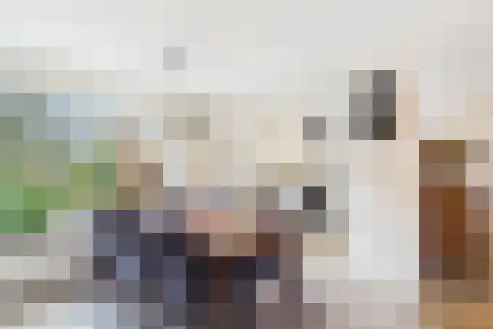 ds. Raamshof 24 Hoek thumbnail 9