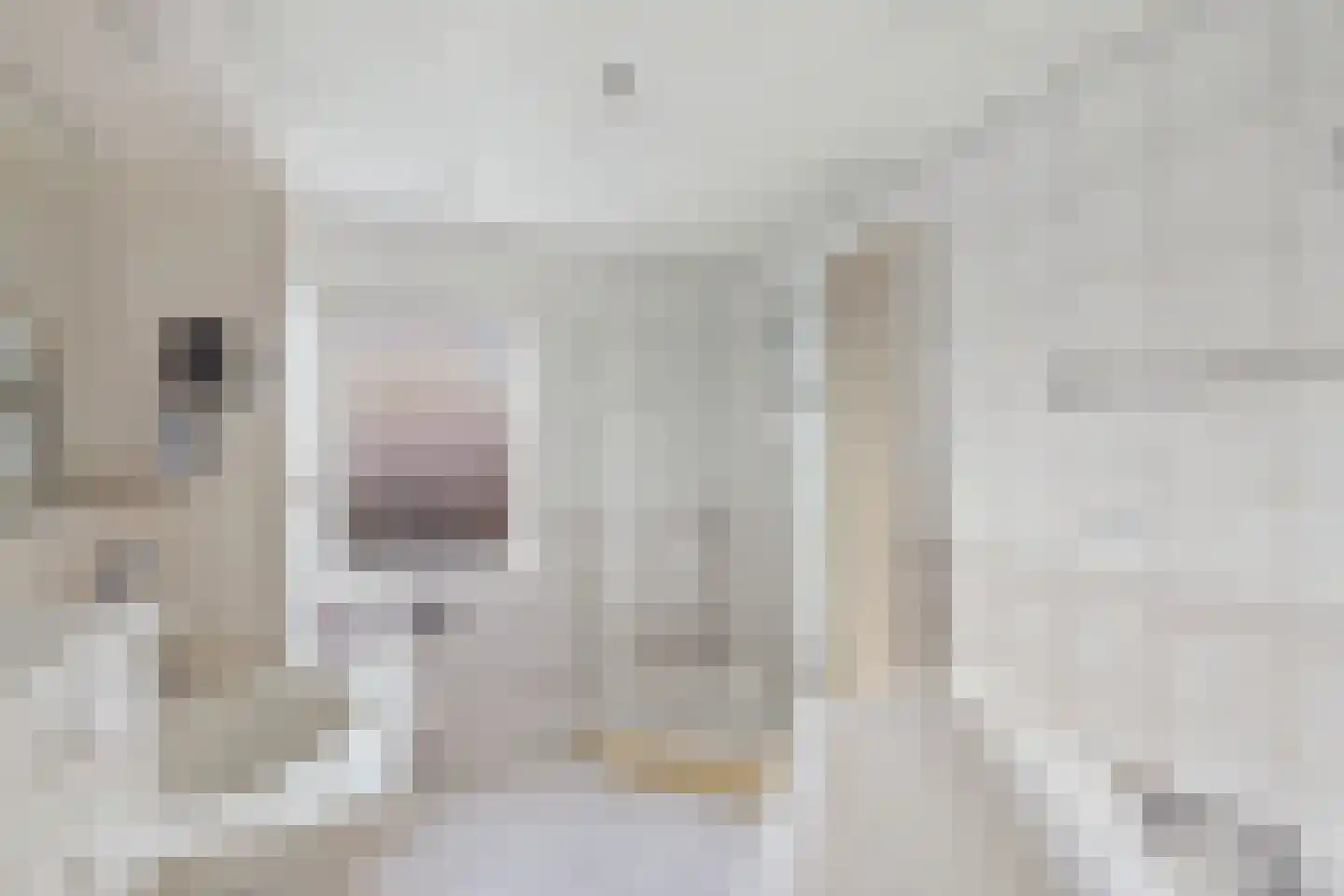 ds. Raamshof 33 Hoek thumbnail 20