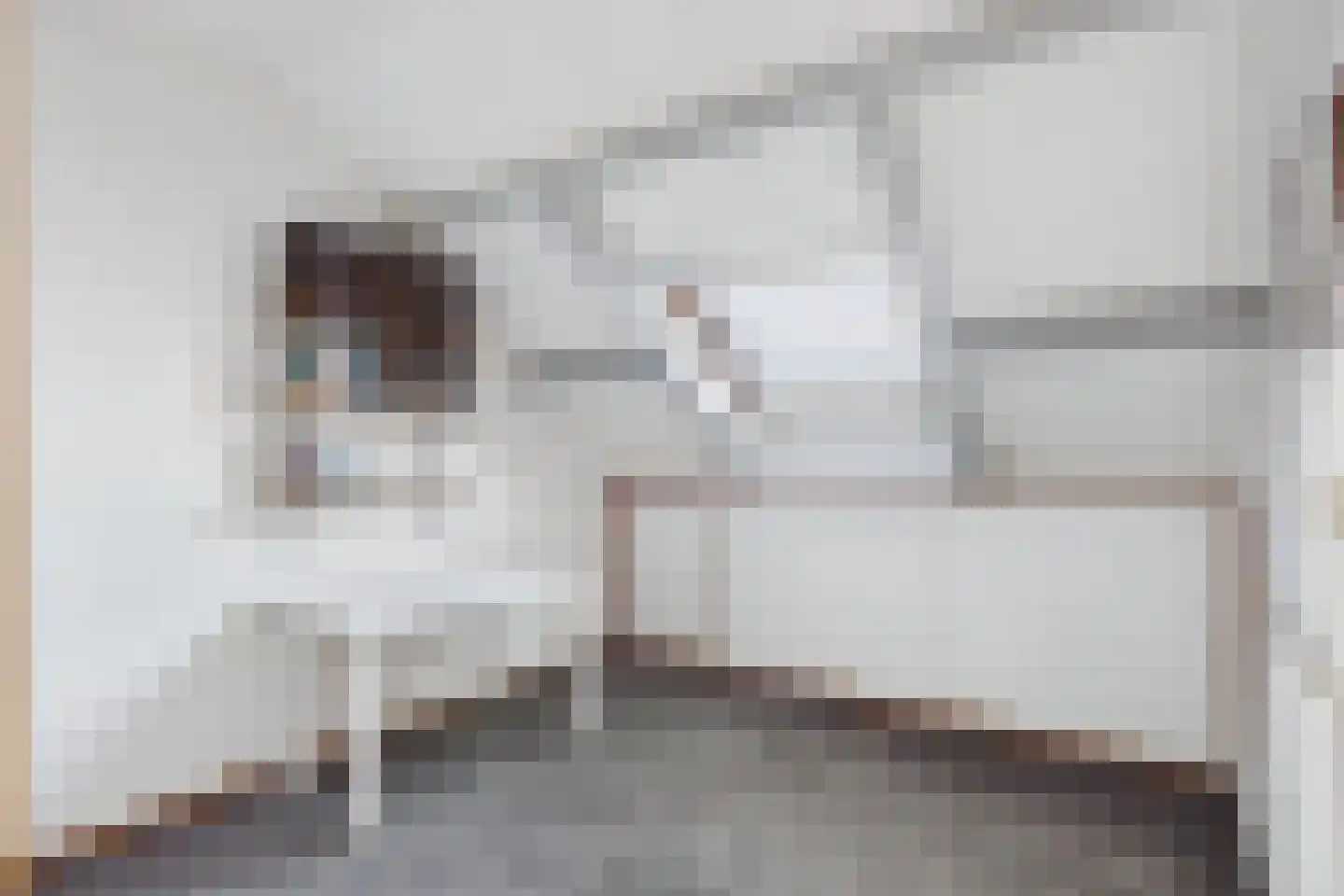 ds. Raamshof 33 Hoek thumbnail 23