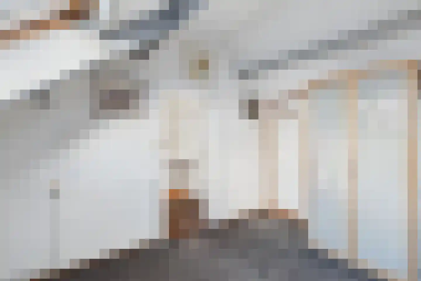 ds. Raamshof 33 Hoek thumbnail 24