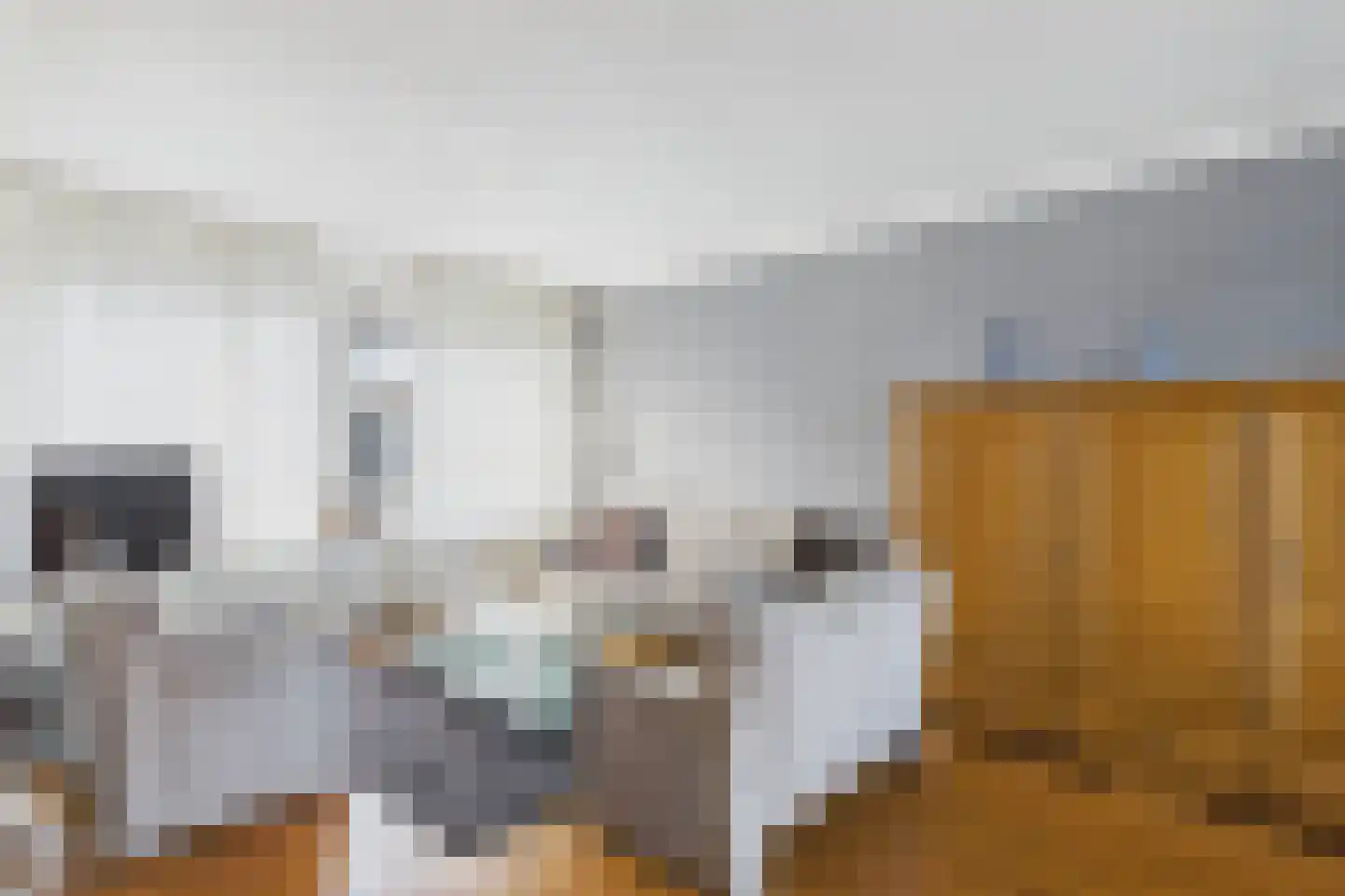 ds. Raamshof 33 Hoek thumbnail 8