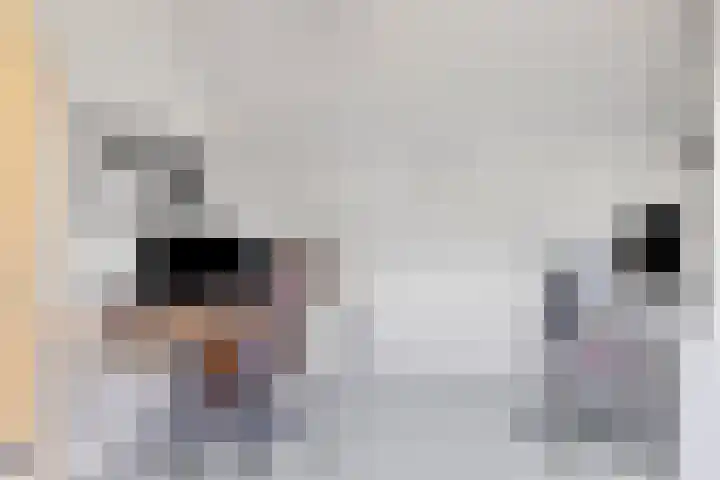 ds. Raamshof 7 Hoek thumbnail 22
