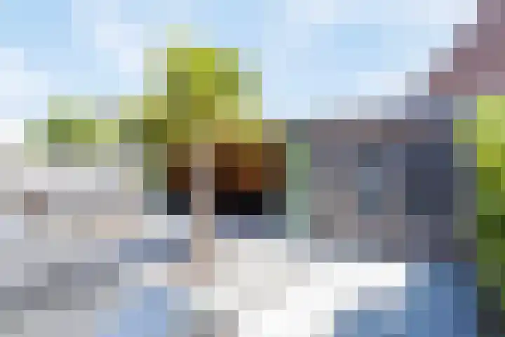 ds. Raamshof 7 Hoek thumbnail 27