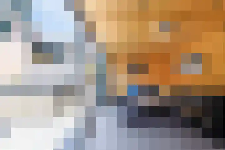 ds. Raamshof 7 Hoek thumbnail 28
