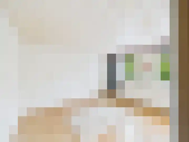 ds. Raamshof 8 Hoek thumbnail 15