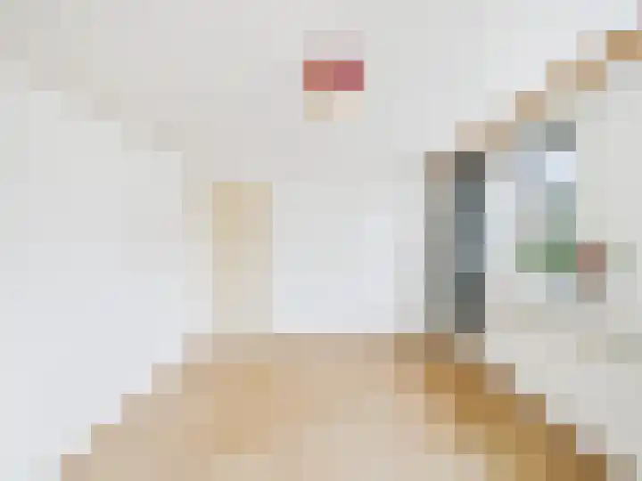 ds. Raamshof 8 Hoek thumbnail 19