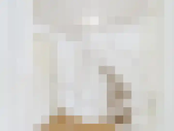 ds. Raamshof 8 Hoek thumbnail 22