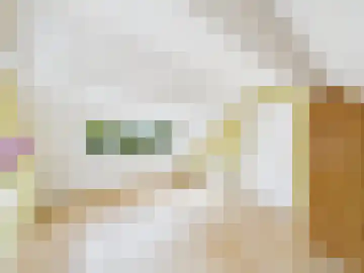 ds. Raamshof 8 Hoek thumbnail 24