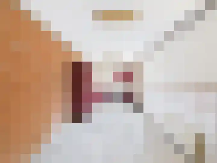 ds. Raamshof 8 Hoek thumbnail 26