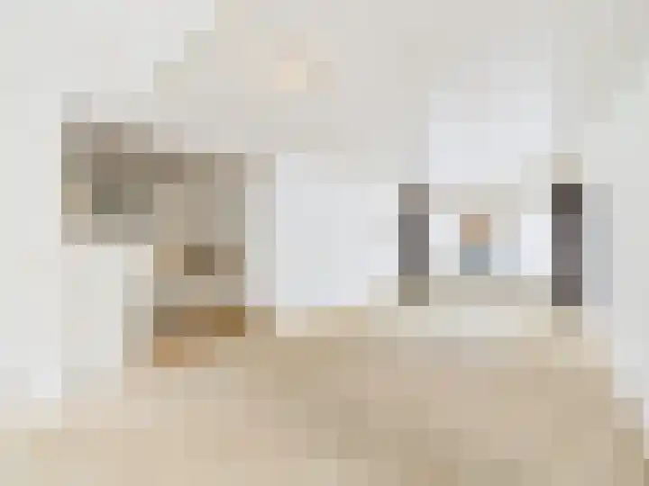 ds. Raamshof 8 Hoek thumbnail 8
