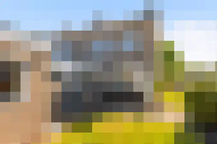 Ds. S. Huismansstrjitte 39 Stiens thumbnail 25