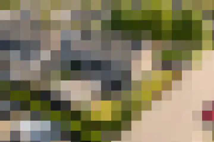 Ds. S. Huismansstrjitte 39 Stiens thumbnail 32