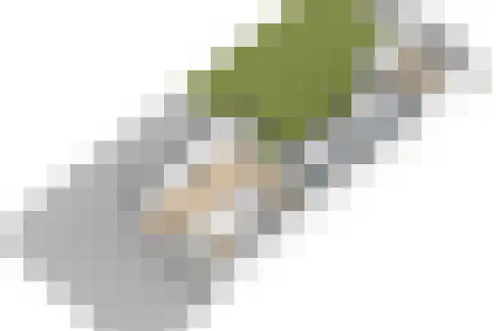 Ds. S. Huismansstrjitte 39 Stiens thumbnail 43