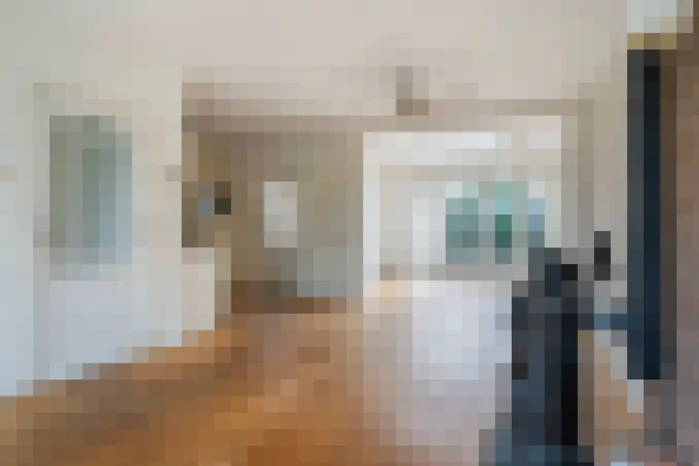 Ds. S. Huismansstrjitte 61 Stiens thumbnail 12