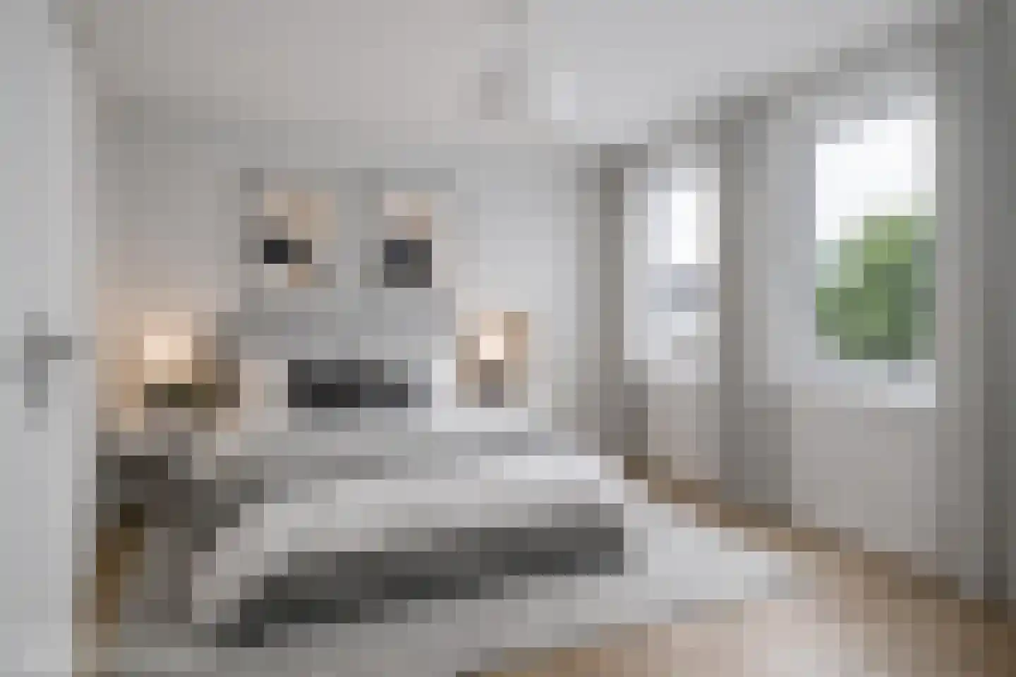 Ds. S. Huismansstrjitte 61 Stiens thumbnail 18