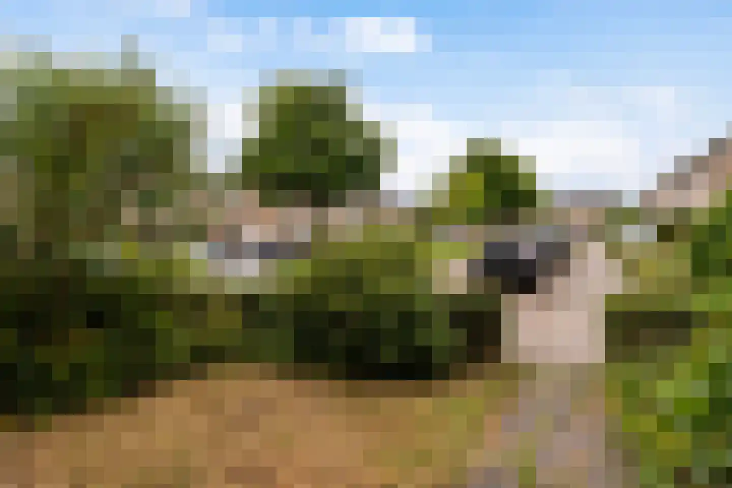 Ds. S. Huismansstrjitte 61 Stiens thumbnail 31