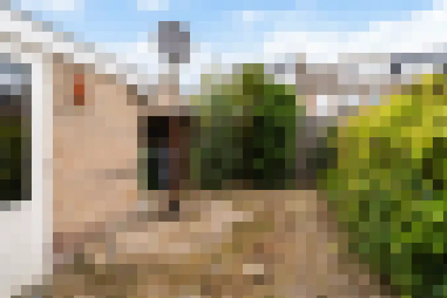 Ds. S. Huismansstrjitte 61 Stiens thumbnail 6