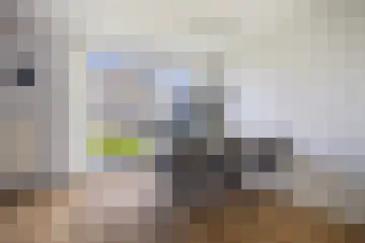 Ds. S. Huismansstrjitte 65 Stiens thumbnail 10