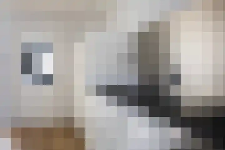Ds. S. Huismansstrjitte 65 Stiens thumbnail 15