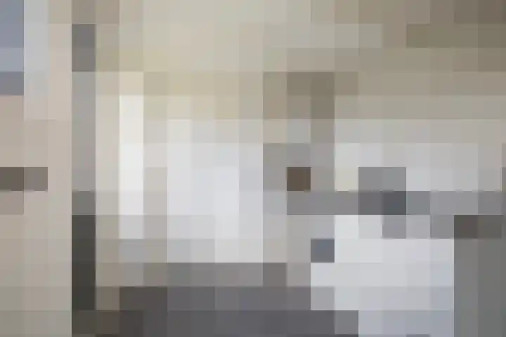 Ds. S. Huismansstrjitte 65 Stiens thumbnail 17
