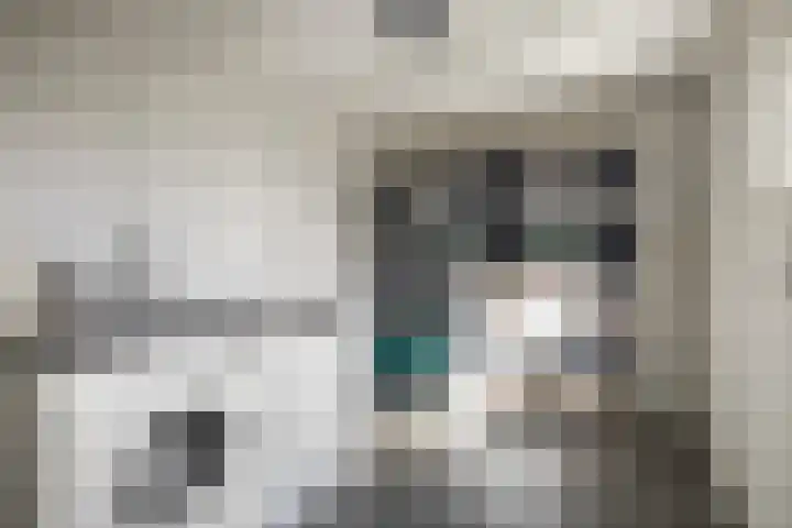 Ds. S. Huismansstrjitte 65 Stiens thumbnail 18