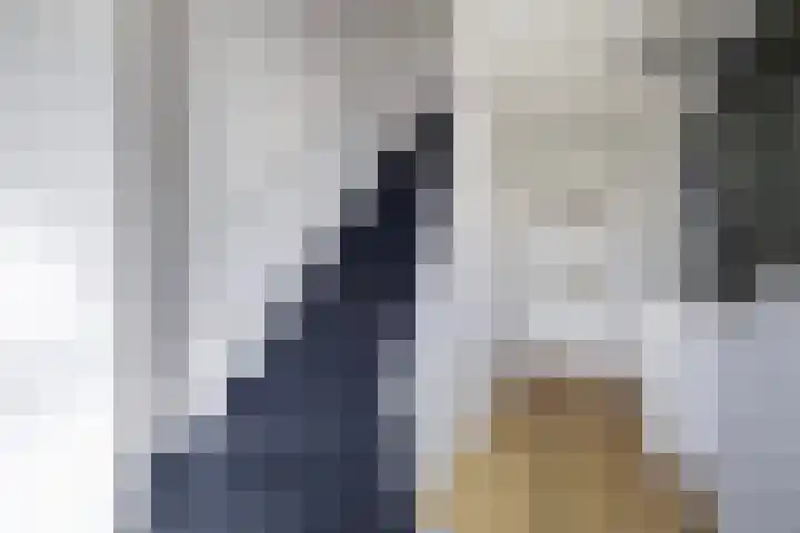 Ds. S. Huismansstrjitte 65 Stiens thumbnail 20