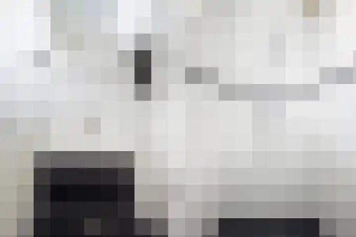 Ds. S. Huismansstrjitte 65 Stiens thumbnail 29
