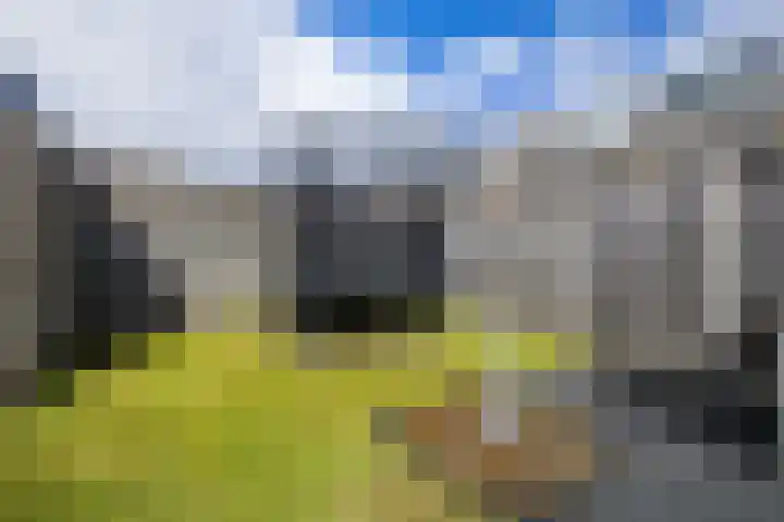 Ds. S. Huismansstrjitte 65 Stiens thumbnail 38