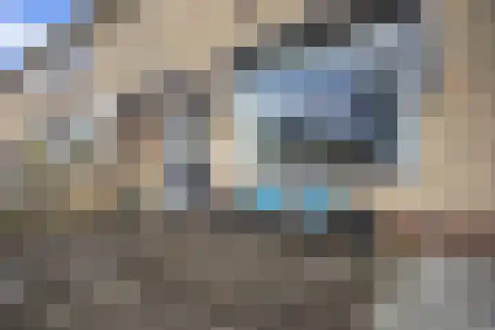 Ds. S. Huismansstrjitte 65 Stiens thumbnail 40
